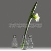 Glühbirne Vase EDISON Serax H11cm